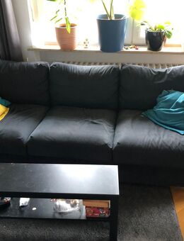 SOFA - Würzburg