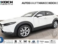 Mazda CX-30, 2.0 M Hy 150 Selection, Jahr 2021 - Berlin