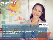 Sozialpädagoge/ Psychologe (BA/MA) (m/w/d) als Schulbegleiter - Pfungstadt