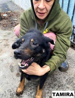 Tamira sucht geduldige Menschen - Neuhausen (Fildern)