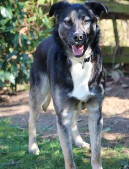 Mai - Marienkäferchen - Obertshausen