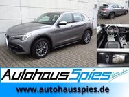 Alfa Romeo Stelvio 2.2 JTDM EU6d Super Q4 Rkam Alu 18 Shz Tleder - Heilbronn