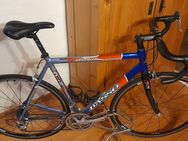 RENNRAD BASSO DEVIL CAMPAGNOLO - Dahn