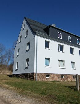 Teilsaniertes Mehrfamilienhaus mit großem Grundstück in Chemnitz-Borna - Chemnitz