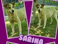 Hübsche Sarina wartet auf Rettung! - Nürnberg