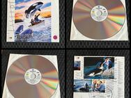 Laserdisc | FREE WILLY 2 | PAL | Deutsch | Freiheit in Gefahr - Dresden