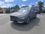 Ford Kuga, 2.9 ST-Line X, Jahr 2024 - Hof