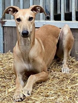 Nora, neugierig, lernwillig, offen - Westerholt