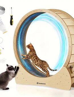 Katzenlaufrad XL – Super leises Laufvergnügen für Ihre Katze Set23112 - Ingolstadt