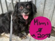 Mimi 30 cm ca 6 Jahre - Beltheim