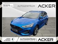 Ford Focus, EcoBoost MHEV ST-Line X WinterP, Jahr 2024 - Bad Berleburg