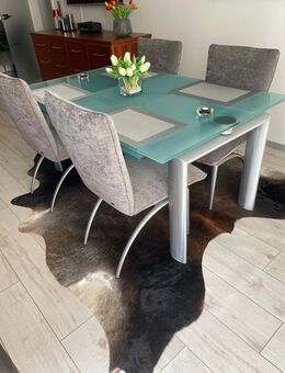 Esstisch Glas gebürstetes Aluminium Designerstück - Köln