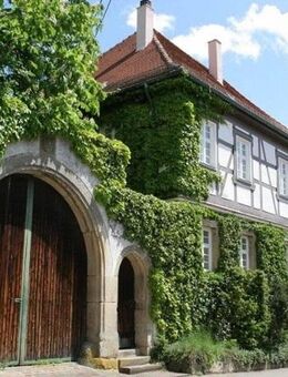 Schlossgrundstück mit Herrenhaus, Scheuer, Pferdeboxen und angrenzenden Bauplätzen - Pliezhausen