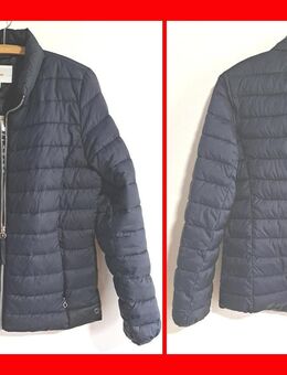❗dunkelblaue Damen-Steppjacke Gr. 40 von s.Oliver - Dassel