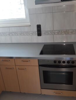 1 Zimmer - Appartement für Berufspendler/Wochenendheimfahrer , Zeitwohnung. - Lampertheim Zentrum