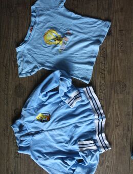 2 er Set zweiteiler Tweety Loonely tunes Elmi Samtjacke Shirt 146 - Hoppegarten