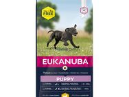 3 kg gratis! 18 kg Eukanuba Breed Huhn - Puppy Large