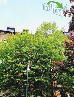 Ihre Kapitalanlage für 2025: Gepflegte 2-Raum-Wohnung mit Aufzug auf dem Chemnitzer Kaßberg - Chemnitz