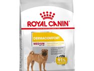 Royal Canin Medium Dermacomfort - 12 kg