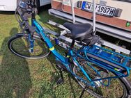 City E Bike Pegasus Damen - Calw