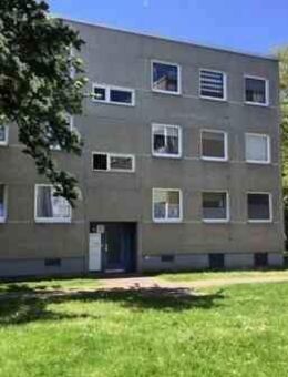 Wo das Leben so spielt - interessante 2-Zimmer-Wohnung - Kassel