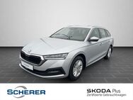 Skoda Octavia, 1.5 Combi eTSI, Jahr 2024 - Bingen (Rhein)