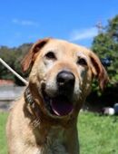 Llacuna🧡 ist sehr kontaktfreudig .. in 22527