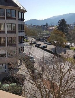 1-Zi-Whg -alles da- Altstadt, Uni, Dreisam! - Freiburg (Breisgau)