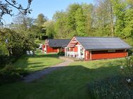 Zwei Ferienhäuser auf paradiesisches Grundstück in Strand- und Fördenähe bei Glücksburg - Glücksburg (Ostsee)