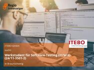 Werkstudent für Software-Testing (m/w/d) (24/11-3501-2) - Braunschweig