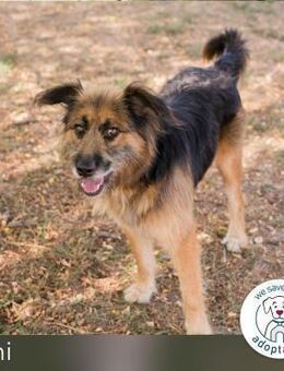 Toni: Freundlicher Entdecker - Kirchzell