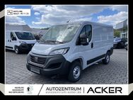 Fiat Ducato, 33 140 Multijet L1 Techno City-P, Jahr 2023 - Bad Berleburg