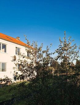 Mehrfamilienhaus in Wansleben - Seegebiet Mansfelder Land