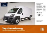 Fiat Ducato, 2.2 M-Jet L5H2 MAXI, Jahr 2024 - Pilsach