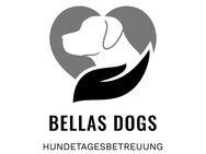 Professionelle Hundebetreuung mit Abhol- und Bringservice - Wentorf (Hamburg)