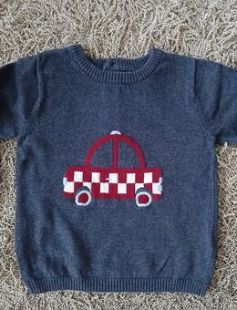 Süßer Baumwollpulli von TEX baby, Größe 80 - Münster (Hessen)