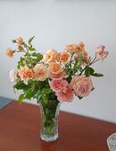 Ich suche neue Freunde in 84130