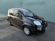 Fiat Panda, 1.0 City Paket, Jahr 2024 - München