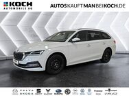 Skoda Octavia, 1.0 TSI Combi e-TEC FIRST EDITION, Jahr 2022 - Berlin