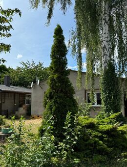 Schnäppchen!! 2 Einfamilienhäuser zu einem Preis mit viel Nebengelass, 2 Garage + Werkstatt und Garten in einer ruhigen, waldreichen Umgebung inmitten - Eggesin