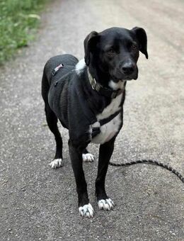 Jobbe auf Pflegestelle in NRW - Bad Vilbel