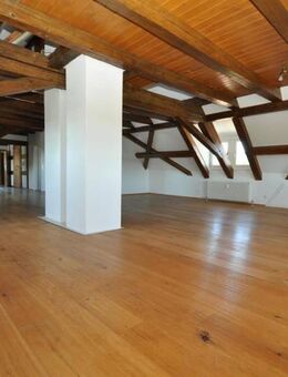Einmaliges Altbauambiente mit Seesicht: 3½ Zimmer-Galeriewohnung auf ca. 175 m² - sofort frei - Öhningen