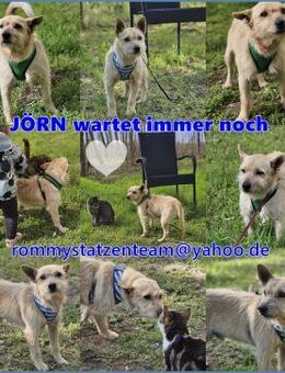 Jörn ist aufgeschlossen und lernbegierig - Schafflund