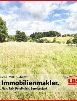 Ruheinsel mit Weitblick - Bonndorf (Schwarzwald)
