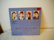 Mr. Mister-Welcome to the Real World-Vinyl-LP,1985 - Linnich