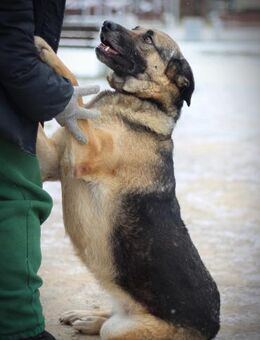 Ilana wartet schon so viele Jahre - Ottweiler