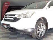 Honda CR-V Executive Aut. Leder/Panorama/Xenon/Kam/AHK - Bünde