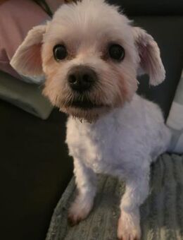 MARCO LIEBT KINDER UND KUSCHELN - Mönchengladbach