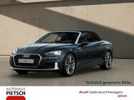 Audi A5, Cabriolet 35 TFSI, Jahr 2024 - Melle