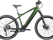 AGON E-Bike Mountainbike Alpha, 10 Gang Deore SGS T6000 Schaltwerk, Kettenschaltung, Heckmotor, 540 Wh, Pedelec, Elektrofahrrad für Damen u. Herren, MTB